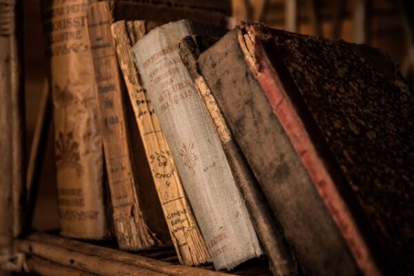 Ruang Baca Perpustakaan Kota Bitung: Wadah Kreativitas dan Pengetahuan